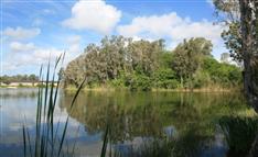 Lakefront Development Site ~ South Fort Myers, Florida